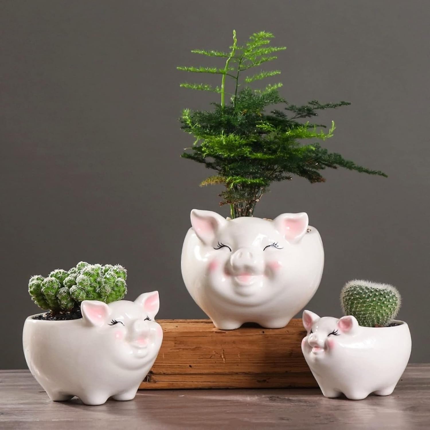 Succulent Pots, Cute Animal Pig Shaped Ceramic Cactus Flower Planters with Bamboo Tray -Plant Not Included (Pink, 3.93 Inches)