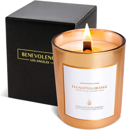 Benevolence Candles Eucalyptus Orange Wood Wick Candles, Soy Scented Candles for Women | 8 Oz Scented Candles for Home Scented | Eucalyptus Candles | Men Candles, Bathroom Candle