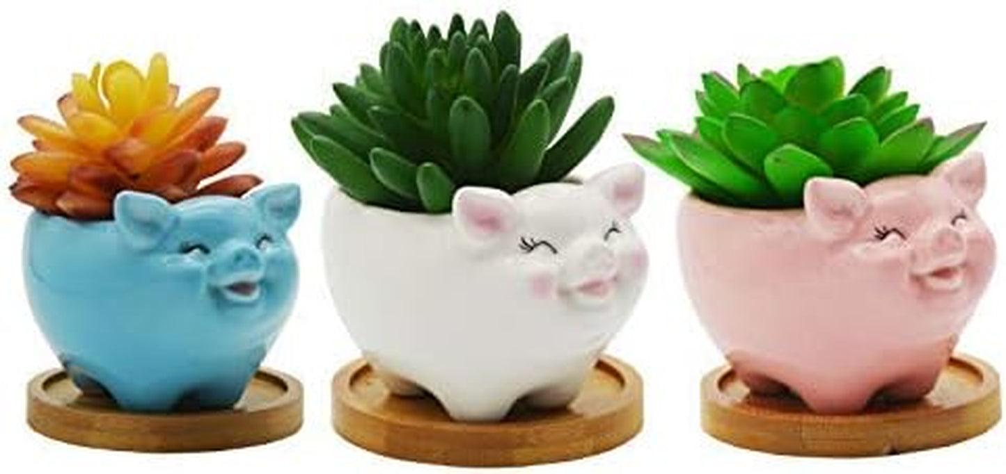 Succulent Pots, Cute Animal Pig Shaped Ceramic Cactus Flower Planters with Bamboo Tray -Plant Not Included (Pink, 3.93 Inches)