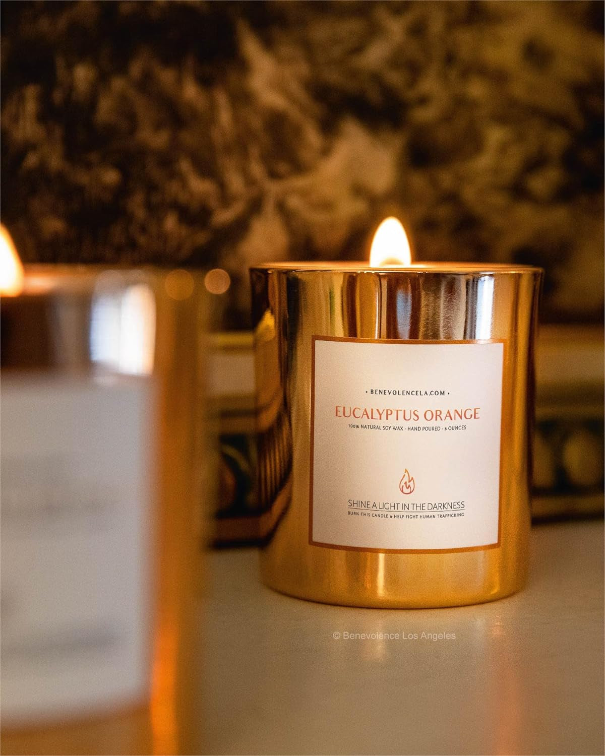 Benevolence Candles Eucalyptus Orange Wood Wick Candles, Soy Scented Candles for Women | 8 Oz Scented Candles for Home Scented | Eucalyptus Candles | Men Candles, Bathroom Candle