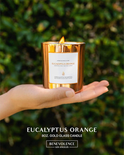 Benevolence Candles Eucalyptus Orange Wood Wick Candles, Soy Scented Candles for Women | 8 Oz Scented Candles for Home Scented | Eucalyptus Candles | Men Candles, Bathroom Candle